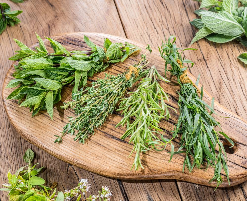 Améliorez vos plats avec des herbes aromatiques